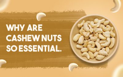 WHY ARE CASHEW NUTS ESSENTIAL FOR OUR HEALTH?